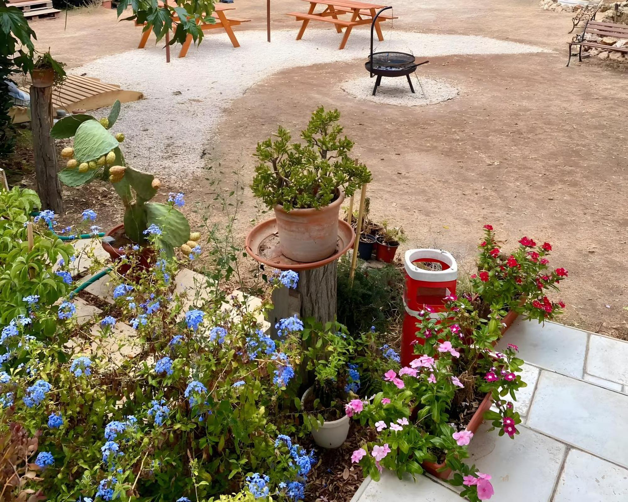 Chill Garden Experience B&B San Pietro in Bevagna Zewnętrze zdjęcie
